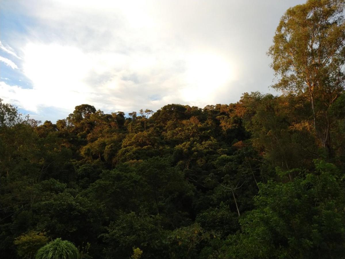 Reserva Nativida Santo Antônio do Pinhal Exterior foto